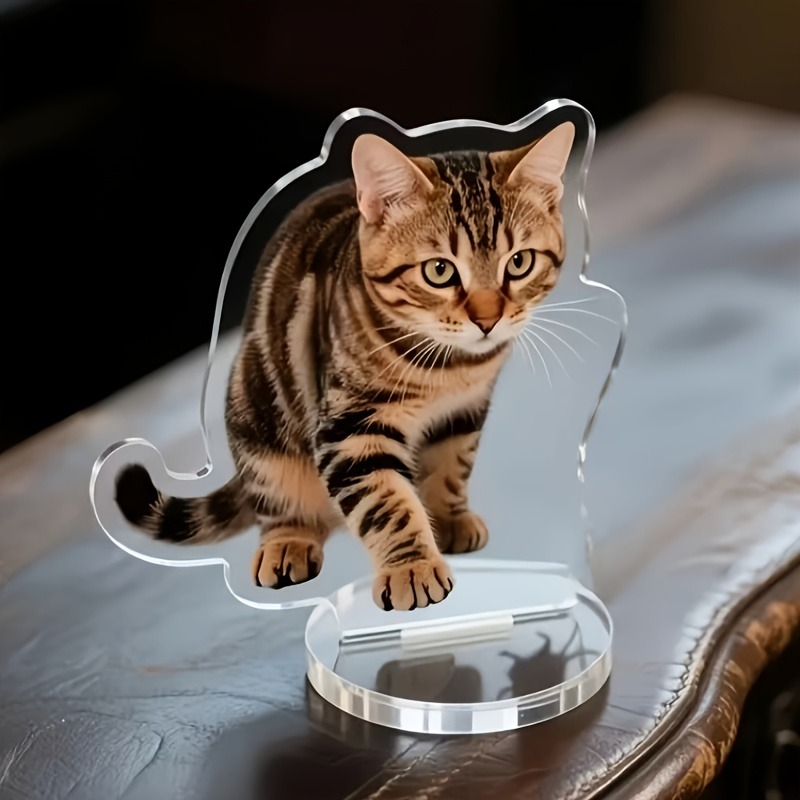 Photography Exhibition - Custom Irregular Pet Acrylic Standee, 2D