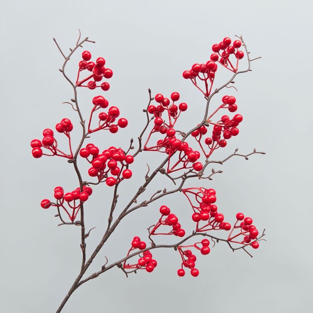 Decorative Simulation Berry Br - Photography Desk ulasan dan harga